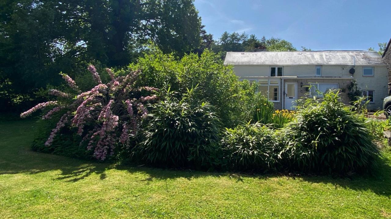 Silhouette Cottage Колфорд Екстериор снимка
